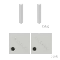 AVCLINK BUSINESS/WD