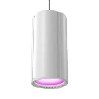 Cameo H1 FC WH